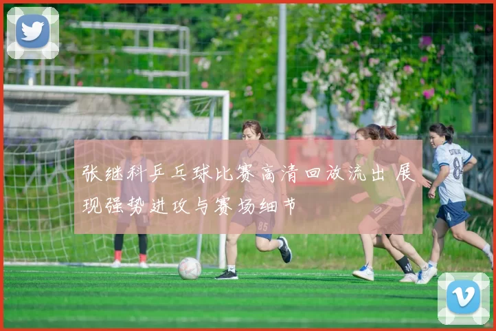 张继科乒乓球比赛高清回放流出 展现强势进攻与赛场细节