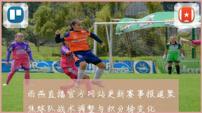 雨燕直播官方网站更新赛事报道聚焦球队战术调整与积分榜变化